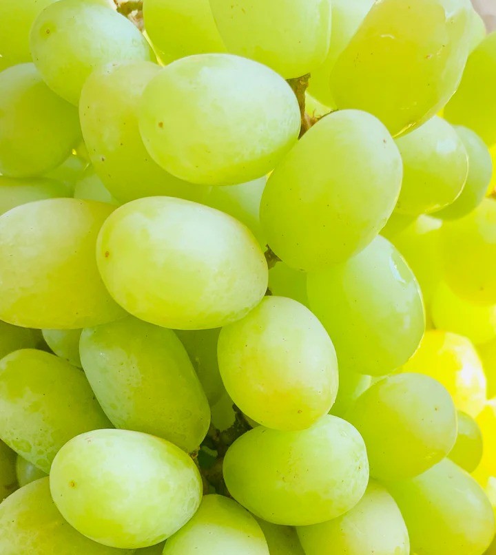 Authentic Relx overseas version - Green Grape - Sixth generation ceramic core