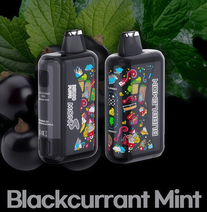 Genuine RELX Nova 30000 puffs large capacity disposable electronic cigarette