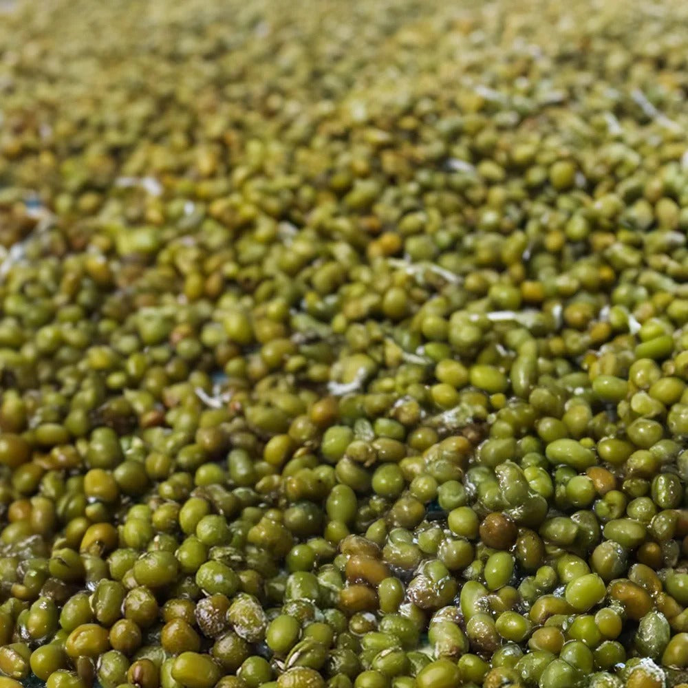 Authentic RELX MG4k disposable electronic cigarette