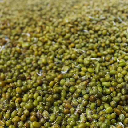 Authentic RELX MG4k disposable electronic cigarette